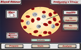 Blood Smear Thumbnail